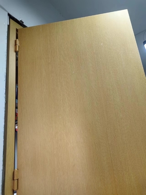 右側内側開口防音ドア H2425*W950*70mm 低騒音とプライバシーのために